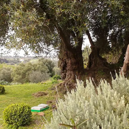 Tatil Evi Georgios Seaview *