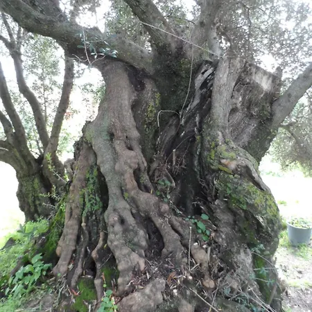 펜션 Georgios Seaview